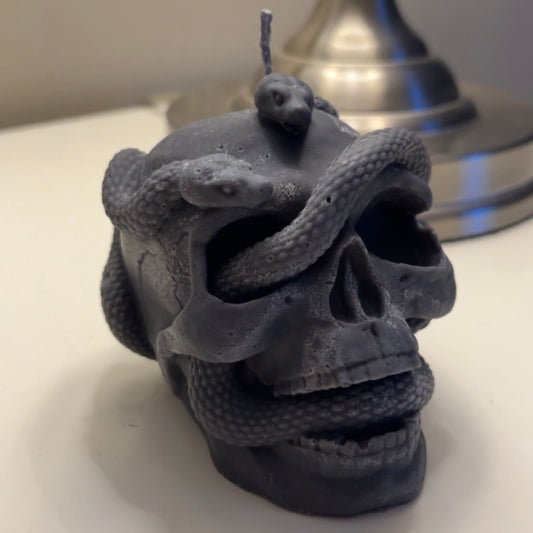 Skull