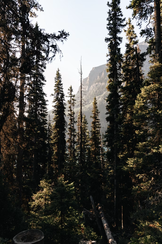 Mountaineer