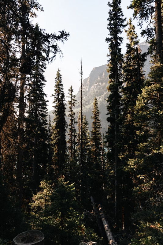 Mountaineer